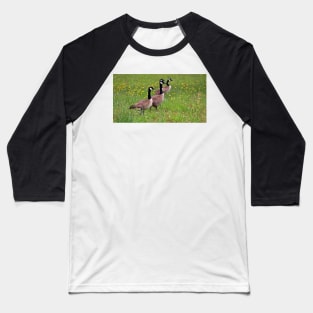 Geese In The Dandelions Baseball T-Shirt